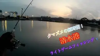 【ライトゲーム】仕事帰りの短時間に1本でも釣りたい‼️真冬の清水港堤防ライトゲームフィッシング🎣