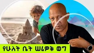 Dr Mehret Debebe - 100 days - 100 wisdom - Day 82 - The story of the two builders