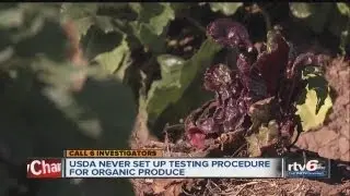 Is organic produce really chemical-free? Call 6 investigation puts organics to the test