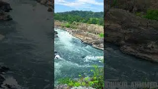 Nature&rsquo;s hidden gem 🌿 | Great Falls, Virginia. #GreatFalls #VirginiaNature #PotomacRiver  #TravelUSA