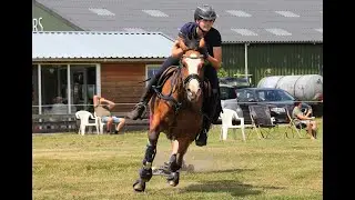 Horseboarding Holland: Promo 2023