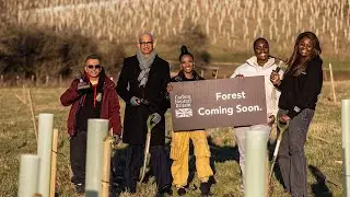A Sustainable Future - One Tree at a Time with Carbon Neutral Britain