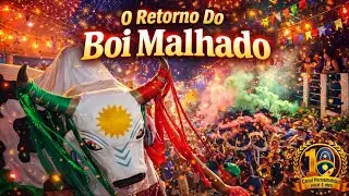 O Retorno Do Boi Malhado ( Olinda Prévias De Carnaval 2026 )