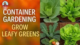 Gardening 114: Grow Fresh Leafy Greens Anywhere: Container Gardening Collards, Kale & More!