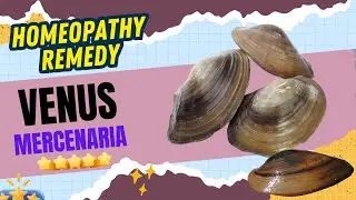 VENUS MERCENARIA I CLAM I HOMEOPATHY REMEDY I MOLLUSC I SWARA HOMEO GURUKUL I DR. DIVYA