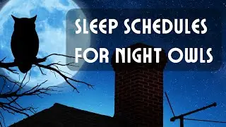 Night Owls to Early Birds | Unraveling the Impact of Sleep Schedules on Health