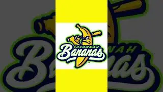 Cool minor league baseball teams