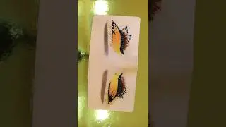 #butterfly #tutorial #makeuptutorial #makeup #maquillaje #maquiagem #colourpop #mariposa