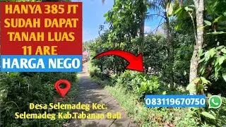 JUAL TANAH KEBUN MURAH COCOK UNTK RUMAH DAN INVESTASI DI SELEMADEG TABANAN BALI