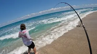 SPRING RUN FISHING ON THE BEACH!