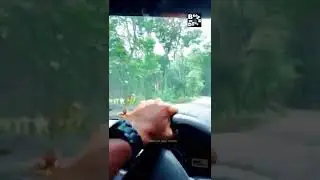 ha ha ha...🤪😝