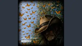 Butterflies Like Leaves