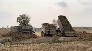 Amazing mining 30T dump trucks unloading dirt and Bulldozer SHANTUI DH17 Pushing at working area