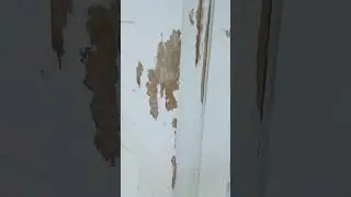 steeplejacking 2025 Auburn NH