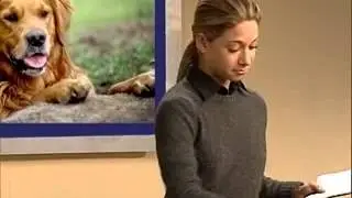 Improved Version - Informative Speech - Animal Helpers