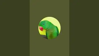 देखलो तोता क्या क्या कर रहा 🤪#tota #talkingparot #talkinganimal #birds #talkingbird #talkingpet 