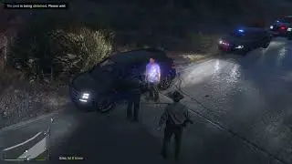 LSPDFR BCSO Highway Night Patrol (Cozy Rainy Day)