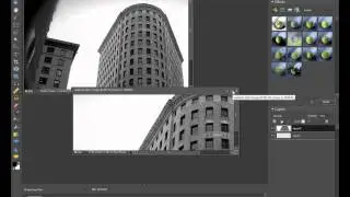 Photoshop Elements: How to Crop an Image to Exact Pixel Dimensions