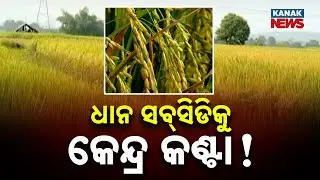 ₹800 Extra Input Subsidy for Paddy Farmers Under Centre&rsquo;s Radar | Will Odisha Farmers Lose Benefit?