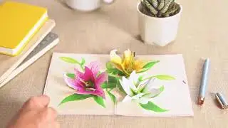 Lily Pop Up Card | 3D Cards Manufacture | Wholesale Distributor Pop Up Cards Viet Nam | Viet-Craft