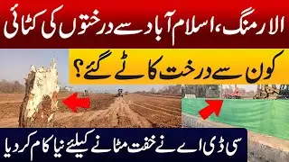 CDA Launches Winter Tree Plantation Drive After Tree Cutting | 200,000+ Saplings Planned