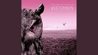 Pöllöille kyytiä