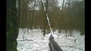 Chasse Montagne De Reims ( Chevreuil )