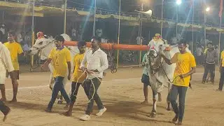 2025-నరసరావుపేట.4పళ్ళు.7వ జత.యర్రం రాజశేఖర్ గారు యర్రం జస్వంత్ గారు కంబైన్డ్ యగ్నశ్రీ కృష్ణవేణి గారు