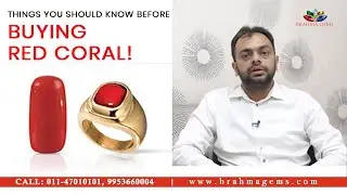 Important Points to Know Before Buying Natural Red Coral (Moonga) | Brahma Gems | 011-47010101