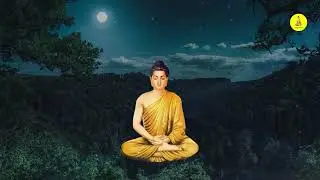 တရားတော်များ #ပါချုပ်ဆရာတော် 