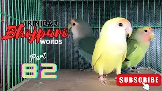 TRINIDAD BHOJPURI WORDS PART EIGHTY-TWO