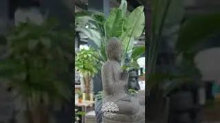 Buddha Statue Display | Home & Garden Decor | Garden Center | The Garden Concept Dubai #shorts