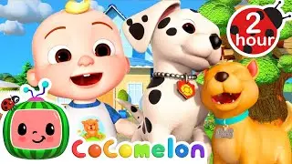 Best Friend Puppies  | Fun with JJ! | CoComelon Nursery Rhymes & Kids Songs