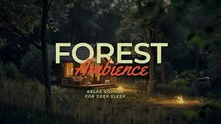 [Cozy campfire AMSR🔥]Whispering Woods: A Night by the Cabin Fire 🌲🔥🌙