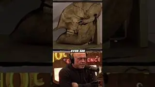 Joe Rogan: The Real Origin of the Cyclops Myth 👁️🐘