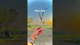 #village #minivlog #nanikaaghar #gaoun