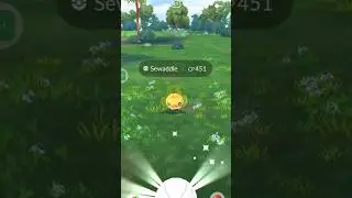 See how I Catch a Sewaddle in Pokemon go #pokemongo #pokemon #pokemongosafarizone