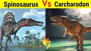 Spinosaurus Vs Carcharodontosaurus | क्या African T-Rex मार पायेगा Spino को ?