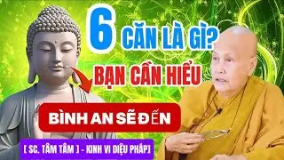 Hiểu Rõ Lục Căn Theo Kinh Vi Diệu Pháp: Cách Buông Bỏ Phiền Não & Sống An Lạc