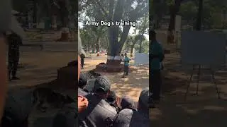 Army Dog training #viral #army #indianmilitary #foji #reels #dog #doglove #india #love #training