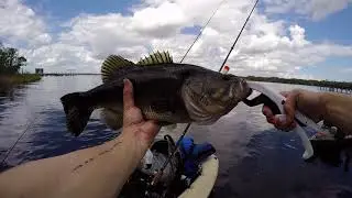 Spring Kayak Fishing in Jacksonville, Florida with the Deeper Pro!