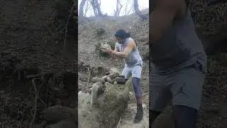 super expert stone balancing #stonebalance #stonebalancing #balance