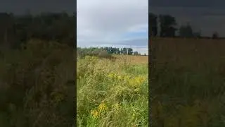 Участок под ПМЖ