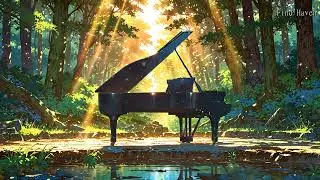 Silent Keys | Visual Harmony