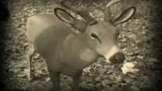 Bustin' Bucks With Bust-A-Buck DVD Promo...