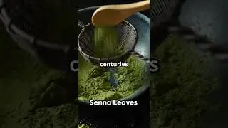 Senna Leaves | Health Benefits by Eco Naturals #wellness #naturalhealth #healingherbs  #superfoods