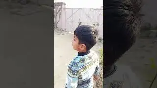 beauty of village#garden#kite #villagelife #village village beauty#dailyvlog #beautiful #peace