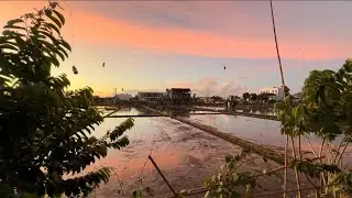 Беженец🇮🇩Бали. ЖЕНСКОЕ СЧАСТЬЕ: СЕМЬЯ И СИСЪКИ. НЕОБЯЗАТЕЛЬНАЯ СИНДИ. КИНООООА. ДЕНЬ РОЖДЕНИЯ СЫНА.