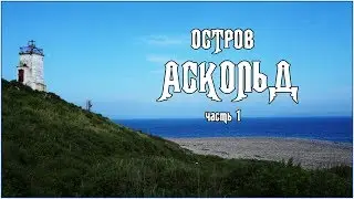ОСТРОВ АСКОЛЬД (часть 1) ЯДЕРНАЯ КАТАСТРОФА, РУЧНЫЕ ЧАЙКИ и возвращение заклинателя змей