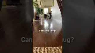 Собака бежит к хозяину, чтобы обняться